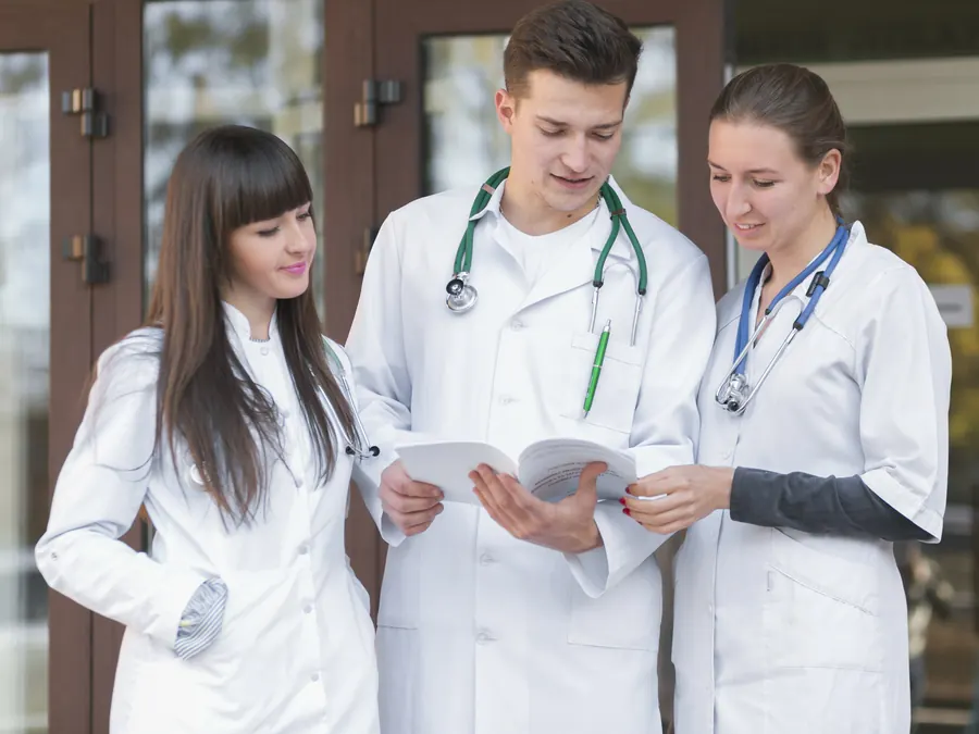 almanya ausbildung hemsirelik